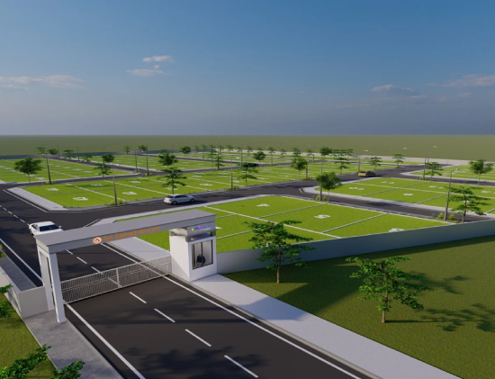 project plot